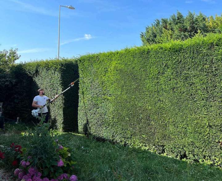 Entretien de haie végétale Puy-de-Dôme