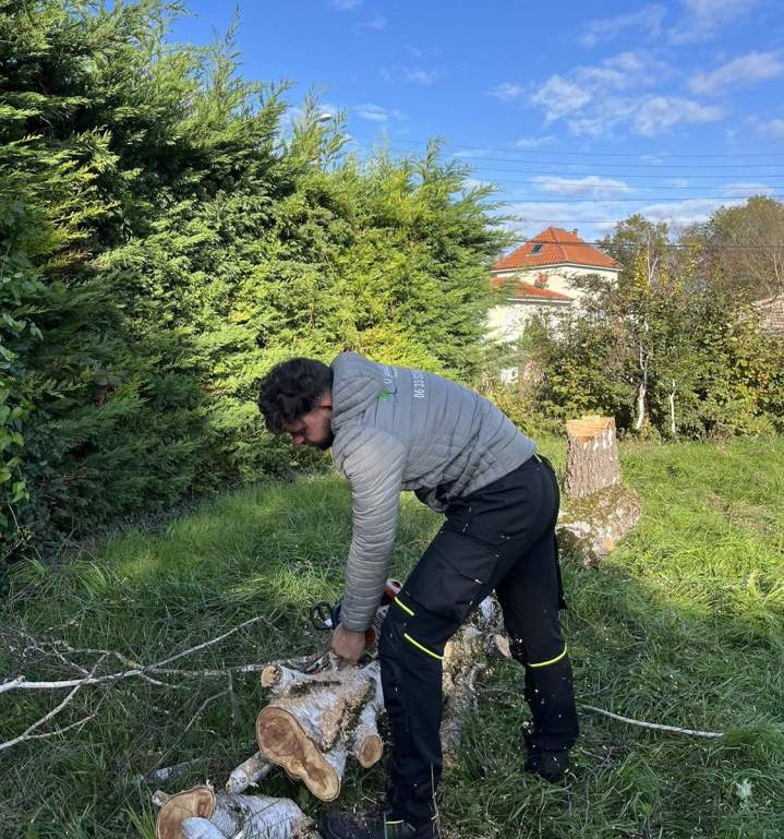 Abattage d'arbres Puy-de-Dôme