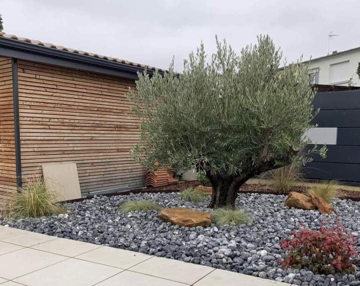 Création jardin Puy-de-Dôme