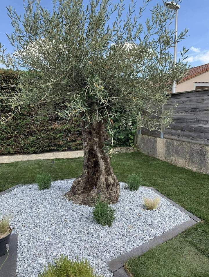 Création jardin Puy-de-Dôme